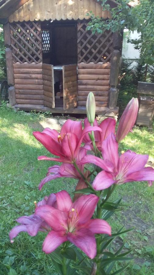 Apartmán Лісова Хатинка Kelechin Exteriér fotografie
